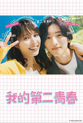 网站内容优化哪个好做